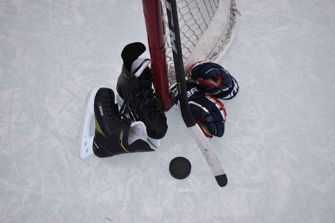 Palets et crosses de hockey